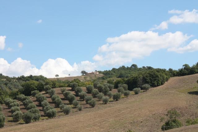 Casolare vista panoramica