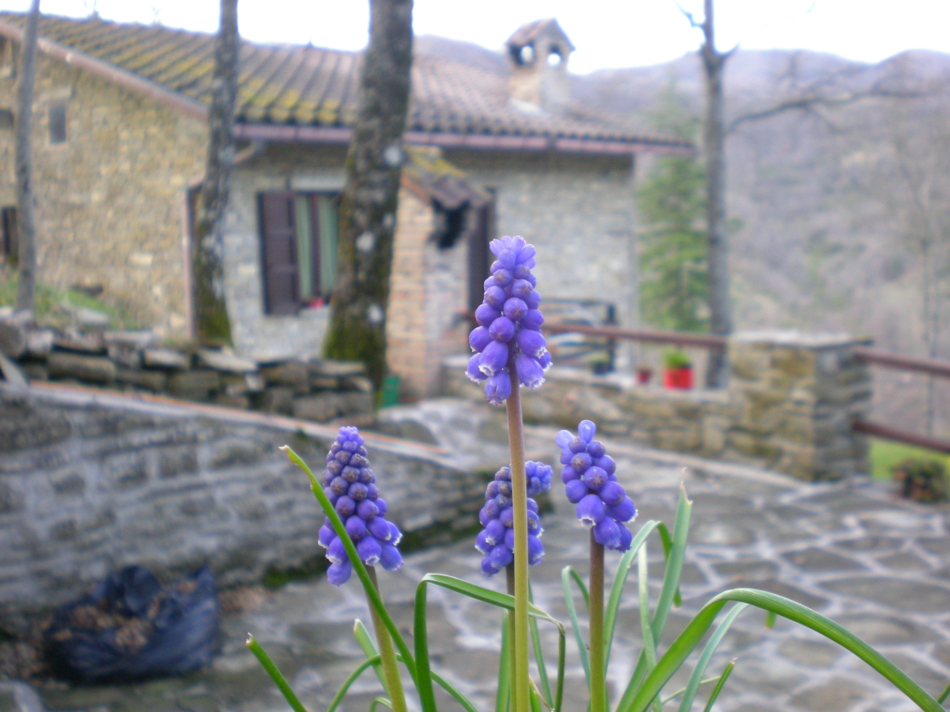 typical mountain farmhouse