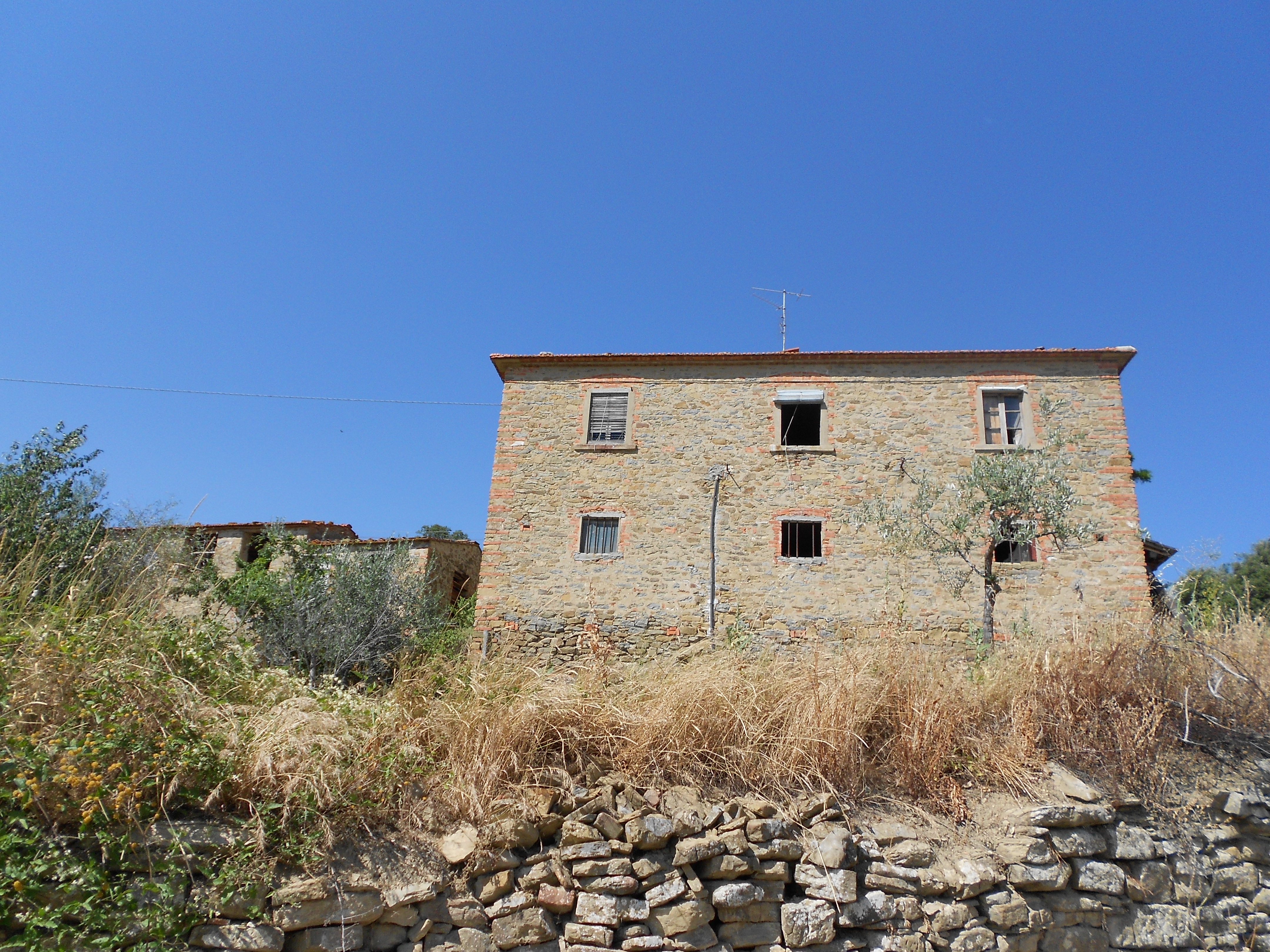 Intero complesso immobiliare con colonica e terreno 