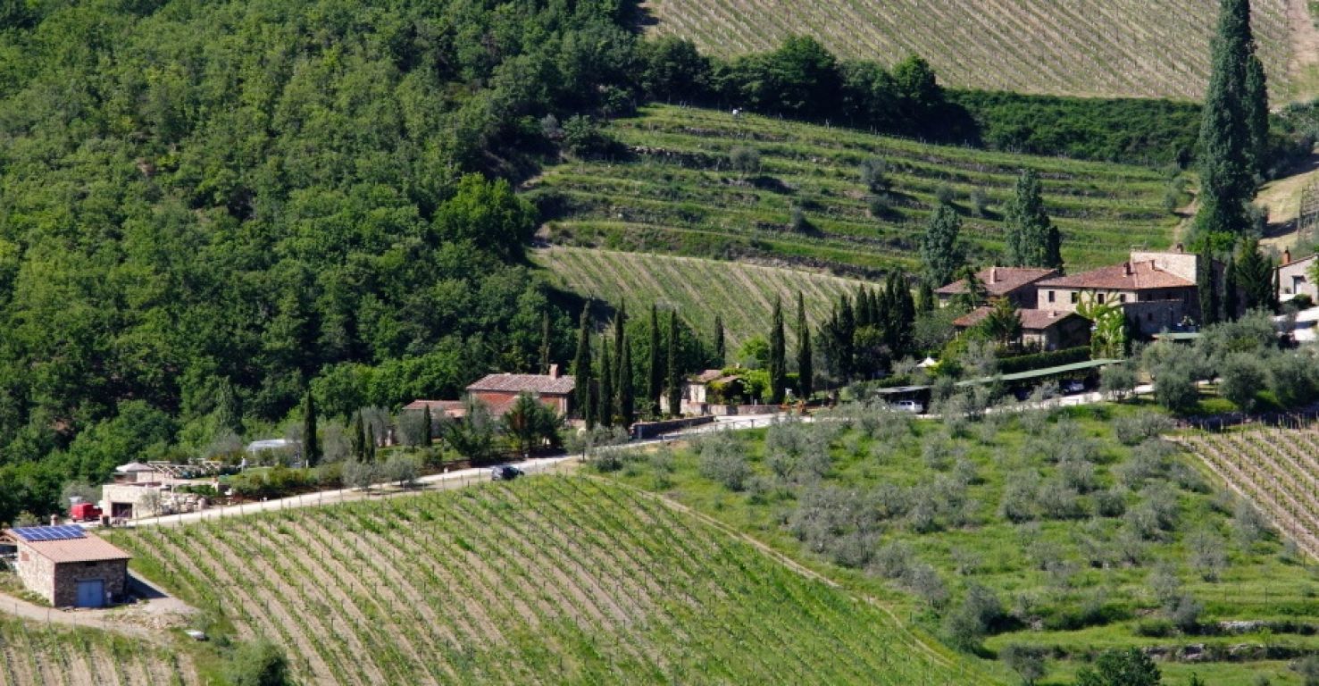 Azienda Agricola Chianti Classico