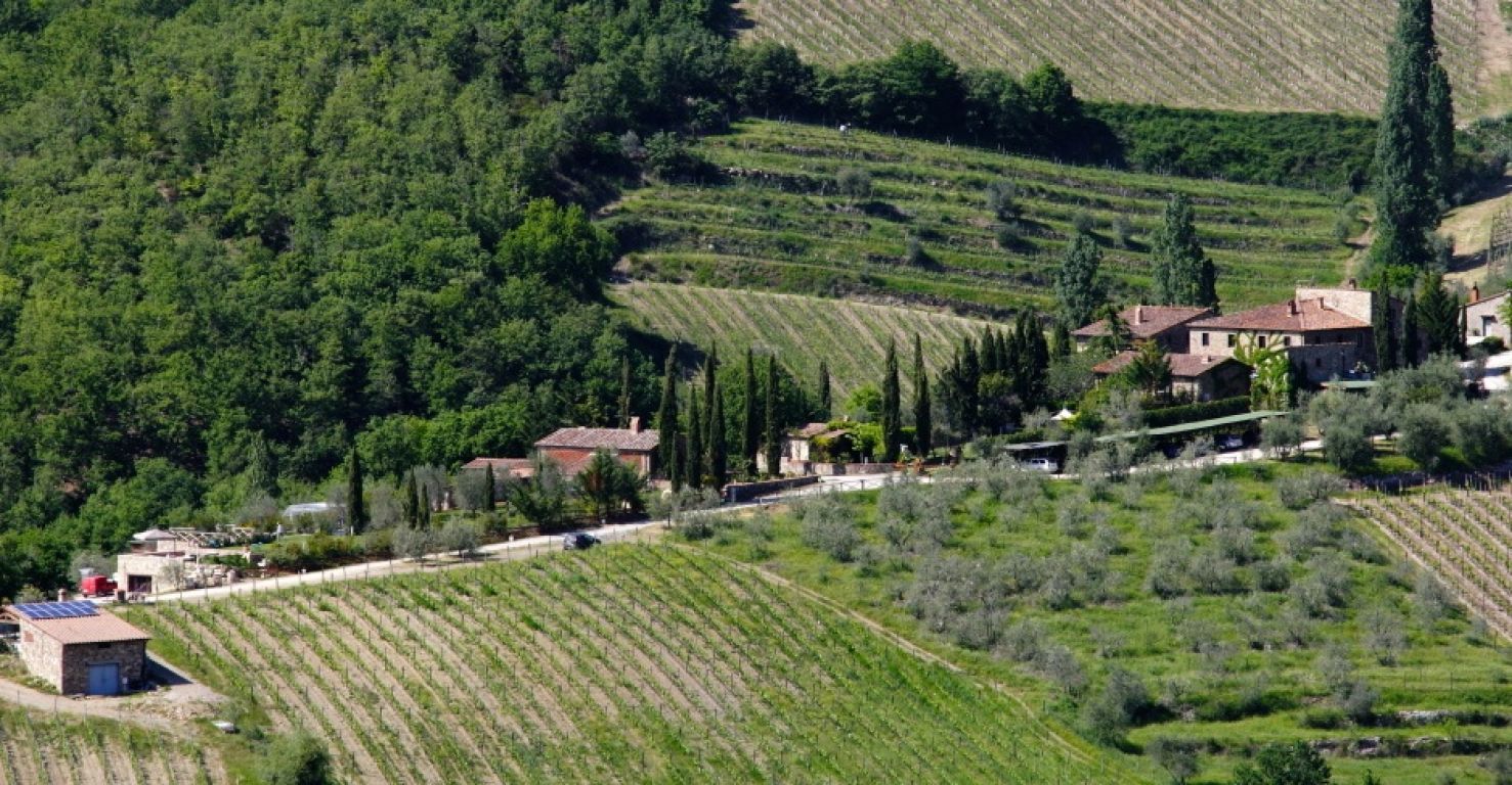 Farm Chianti Classico