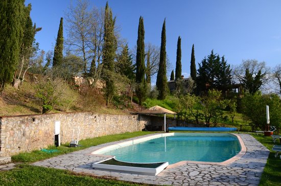 Siena, Azienda Agricola Vitivinicola