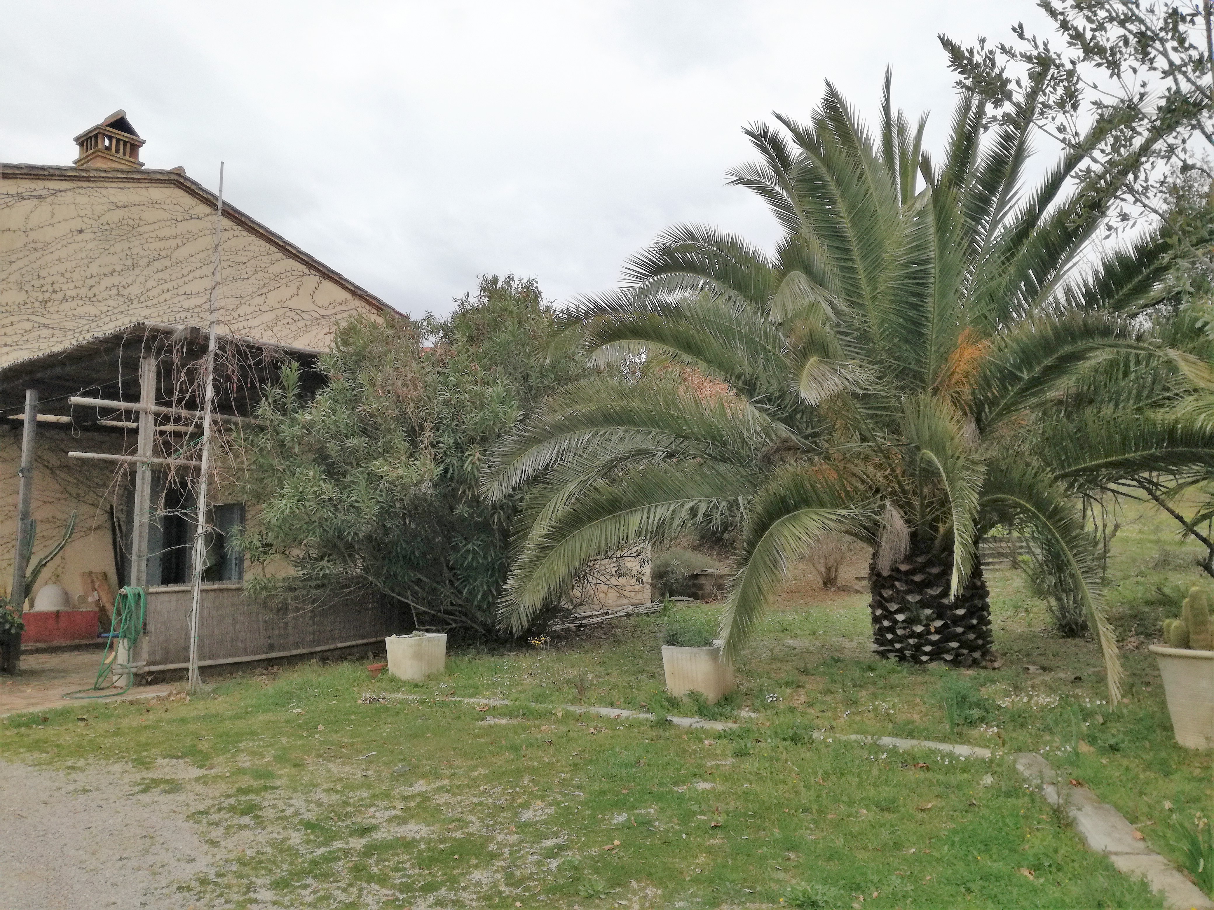 Azienda agricola nel cuore del Montecucco 